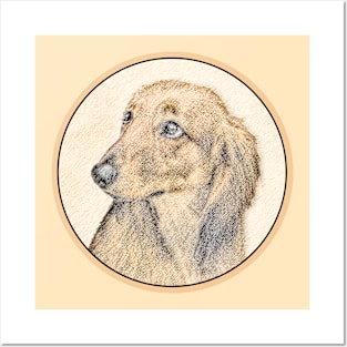 Dachshund (Longhaired) Posters and Art